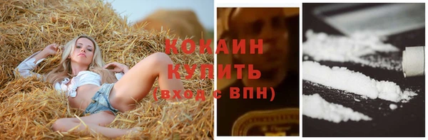 дживик Балахна