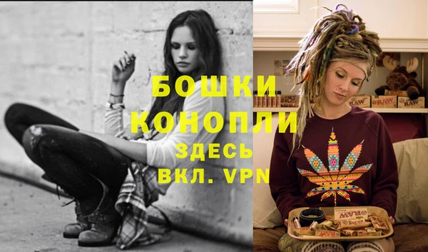 ПСИЛОЦИБИНОВЫЕ ГРИБЫ Балабаново