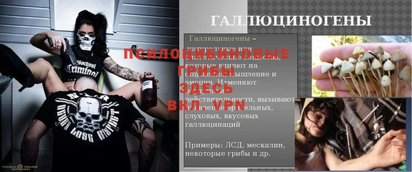 дживик Балахна