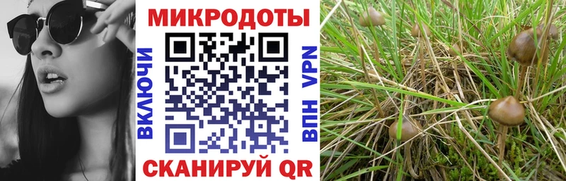 это состав  Феодосия  Псилоцибиновые грибы Magic Shrooms 
